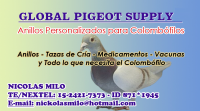 /album/palomas-buchonas-de-estilo/a3-png/