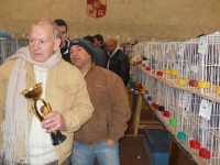 /album/expo-de-palomas-2013/dscn2249-jpg/